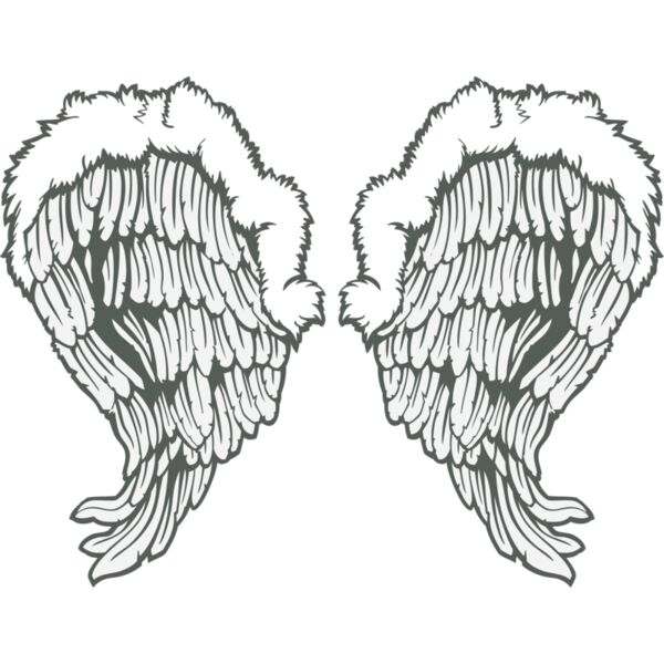 ES3wing26clr Thumbnail