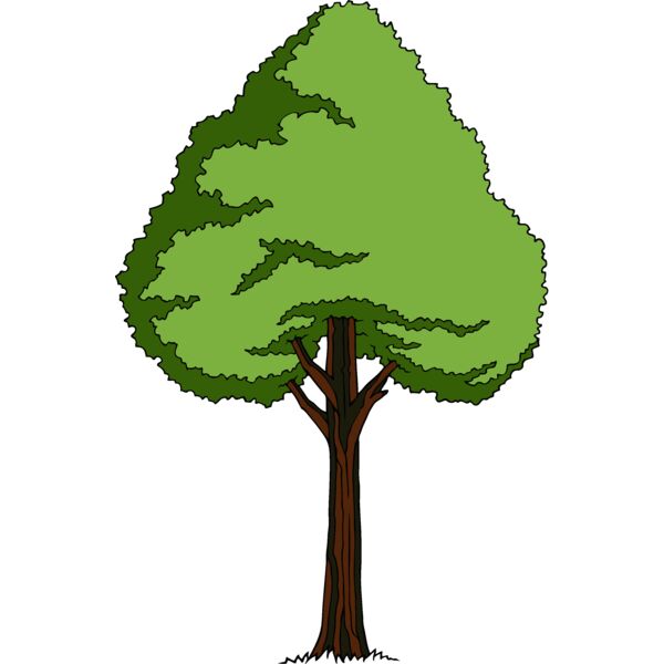 es3tree11clr Thumbnail