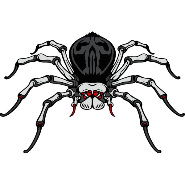 es3spider04clr Thumbnail