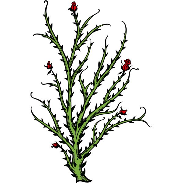 es2thorns004clr Thumbnail