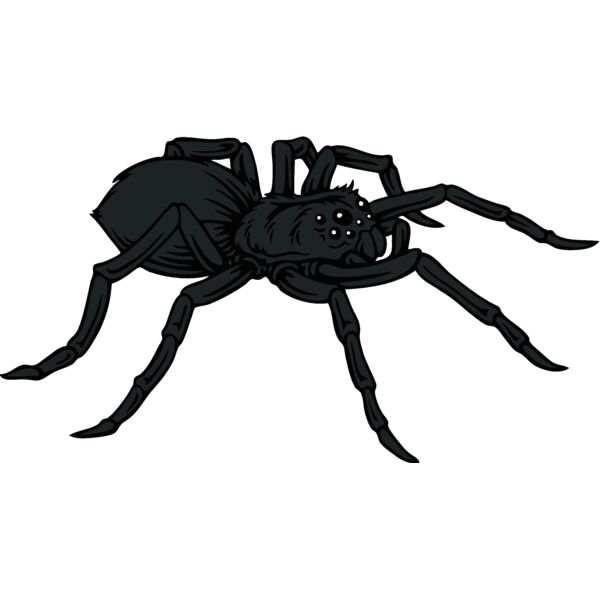 es2spider001clr Thumbnail