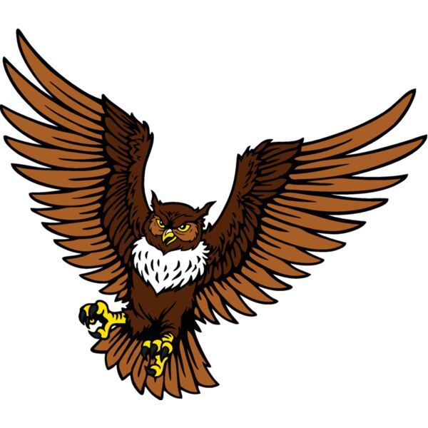 es2owl001clr Thumbnail