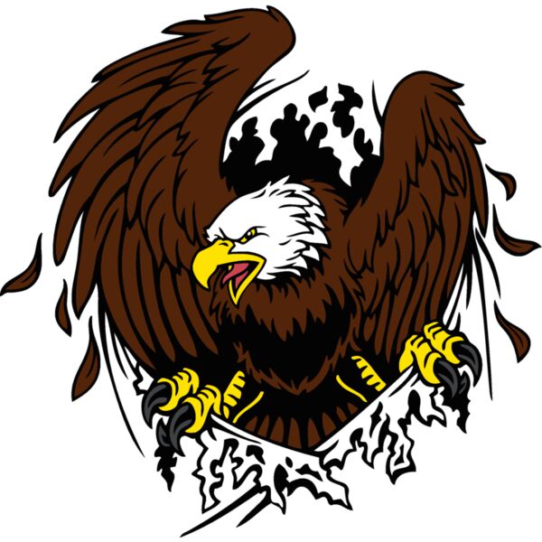 eseagle001clr Thumbnail