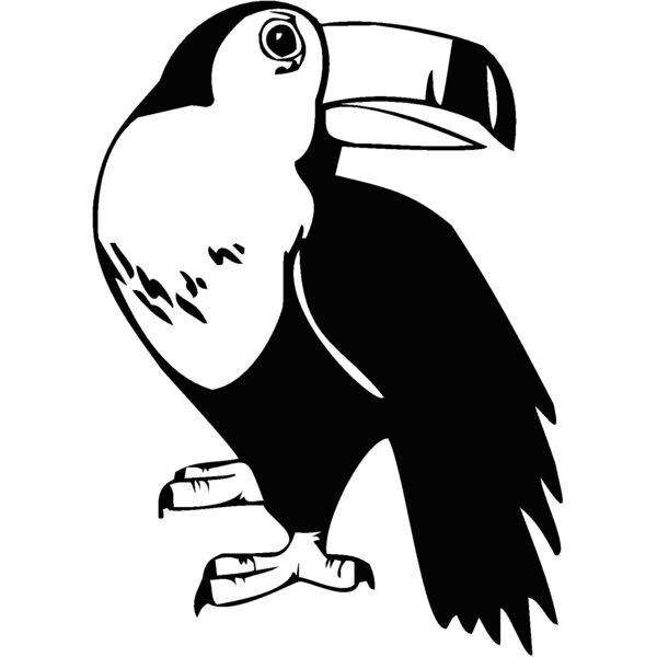 toucan2 Thumbnail