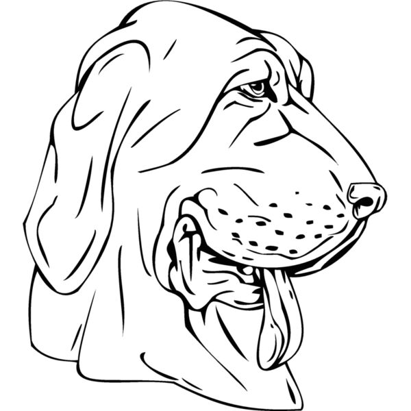 bloodhound Thumbnail