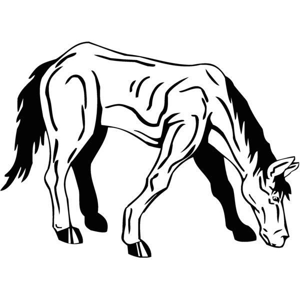 horse4 Thumbnail