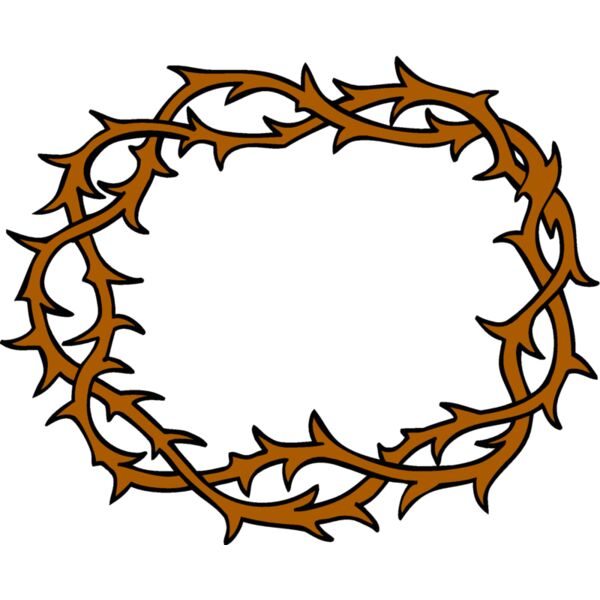 crownofthorns7 Thumbnail