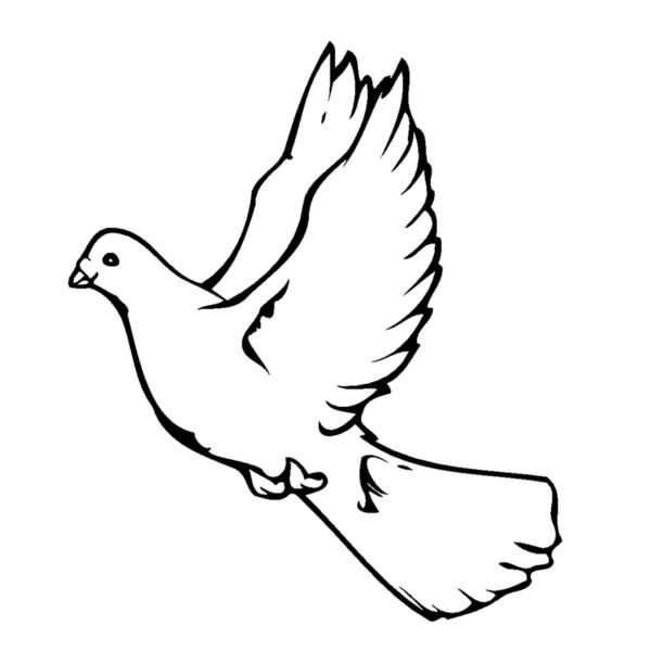 dove Thumbnail