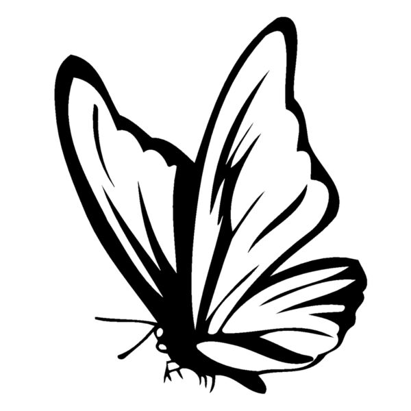 butterfly01 Thumbnail