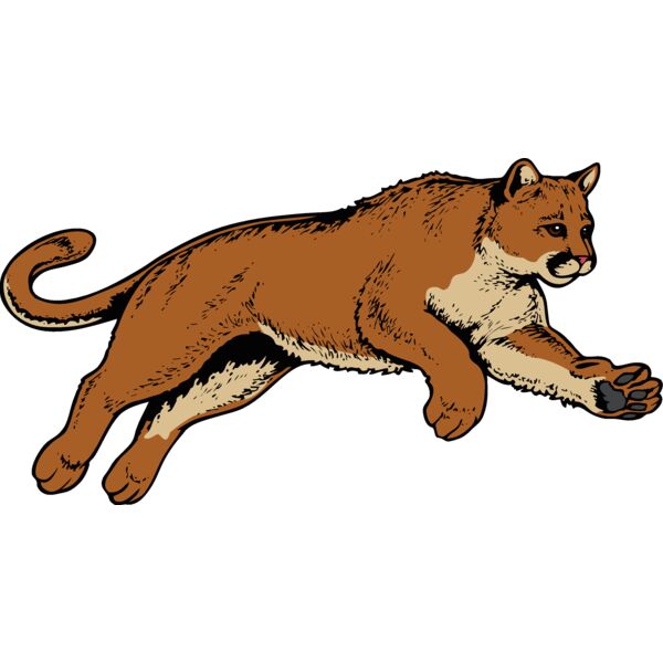 cougar11v4clr  2  Thumbnail