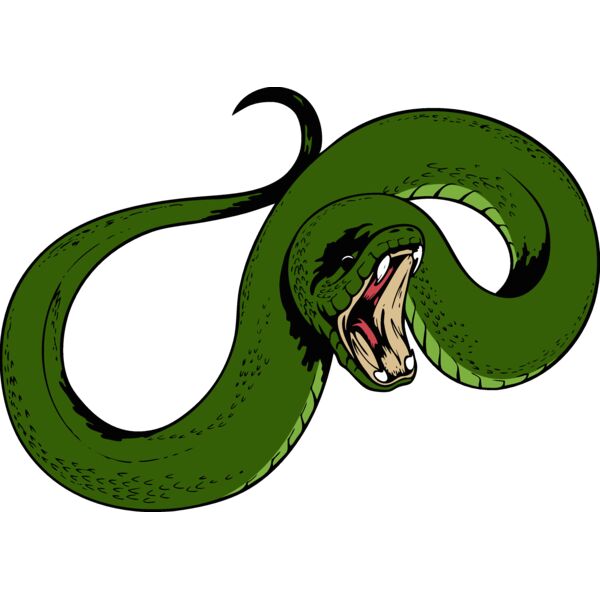 snake08v4clr Thumbnail