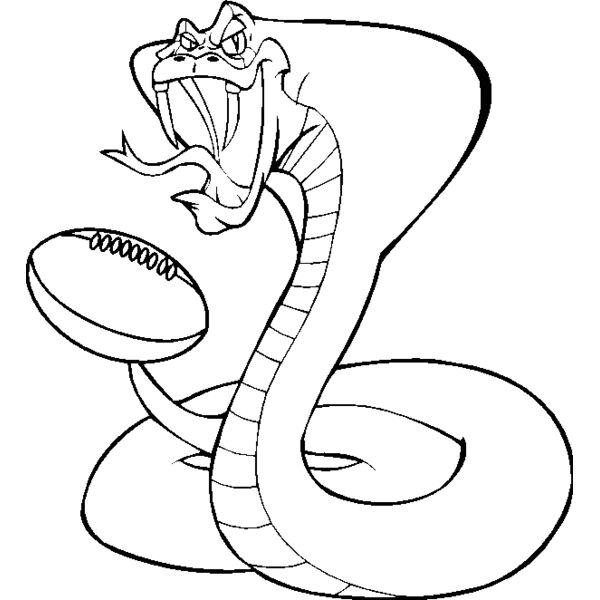 cobrargbybns Thumbnail