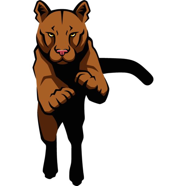 cougarc001 Thumbnail