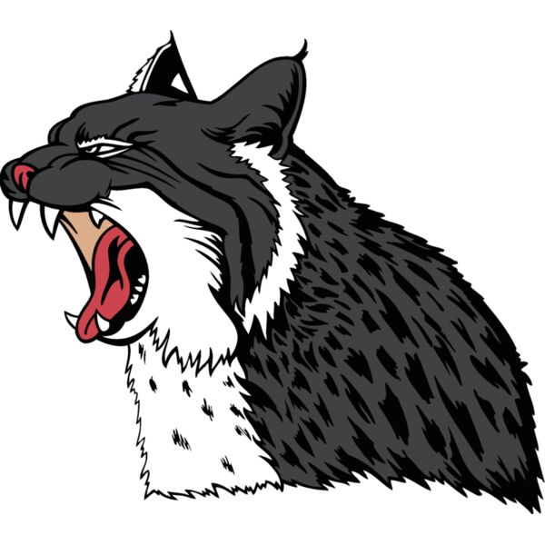 wildcat17v4clr Thumbnail