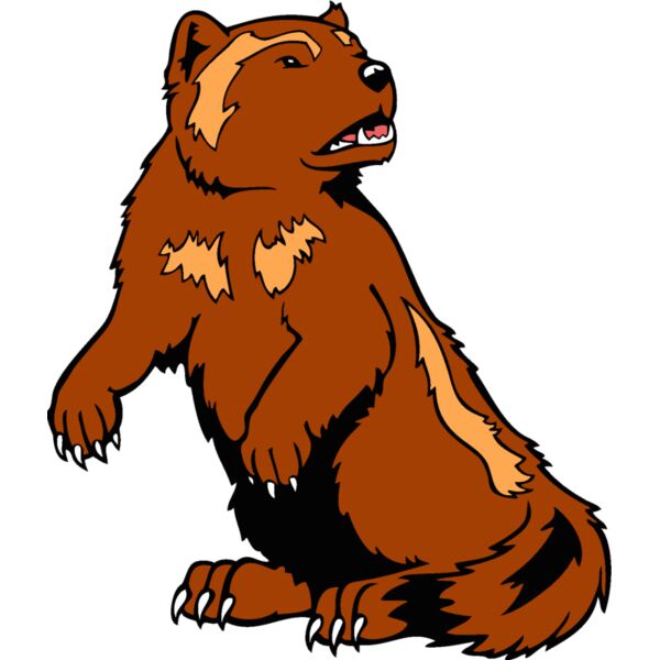 wolverine24 Thumbnail