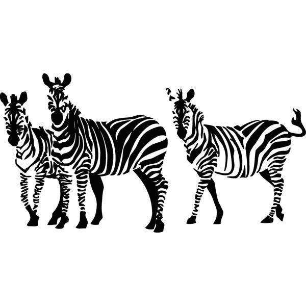 africazebras1 Thumbnail