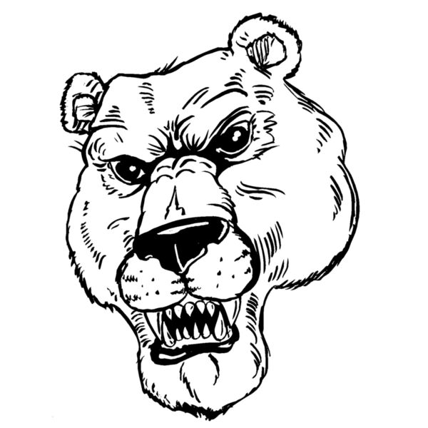 bear25 Thumbnail