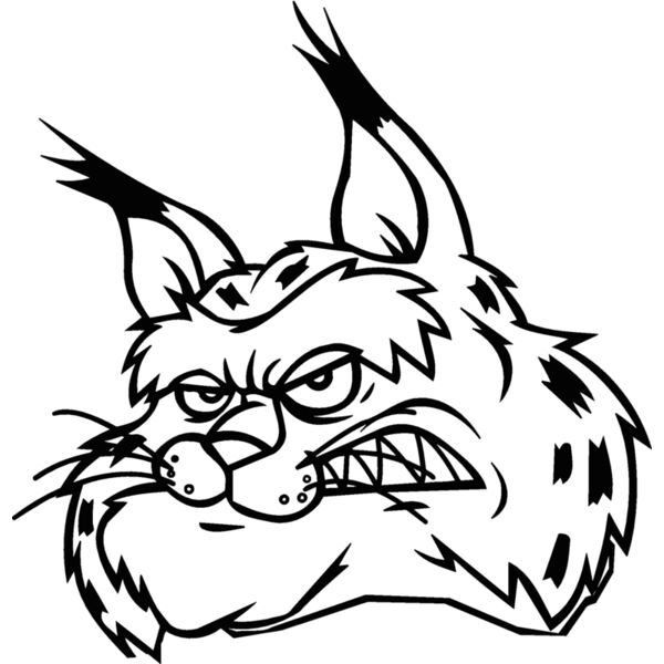 bobcathead07 Thumbnail