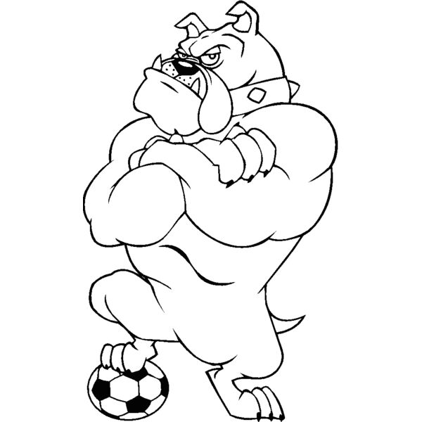bulldogsoccer2 Thumbnail