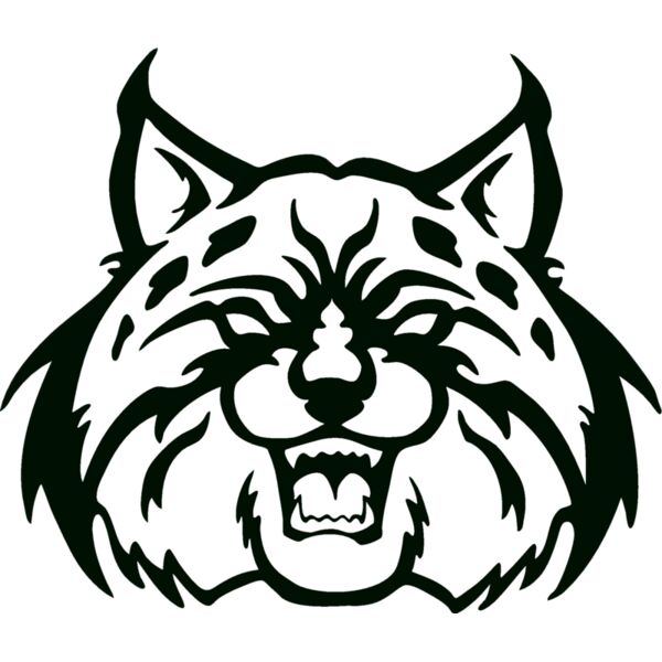 wildcathead07 Thumbnail