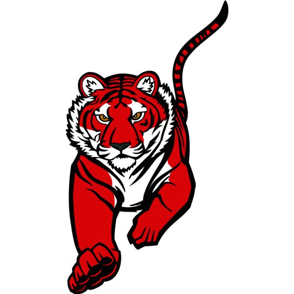 tiger10v4clr Thumbnail