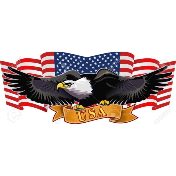 58678799 american eagle with usa flags Thumbnail