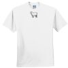 Everyone's Favorite T-Shirt for the Whole Family Everyone's Favorite T-Shirt for the Whole Family Thumbnail